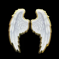 angel-wings-1.webp