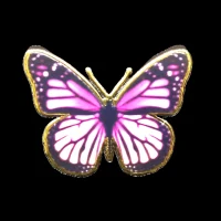 butterfly-1.webp