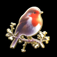robin-left.webp